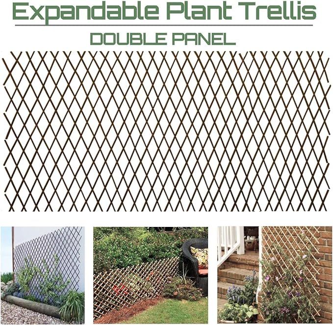 Garden Land Willow Expandable Plant Climbing Lattices Trellis Fence Support 36x92 Inch | Amazon (US)