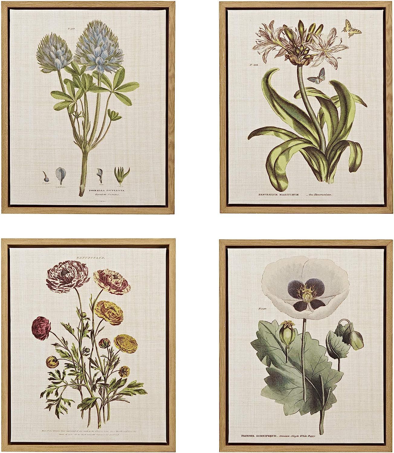 MARTHA STEWART Herbal Botany Wall Art Living Room Floral Linen Canvas Home Accent Country Lifesty... | Amazon (US)