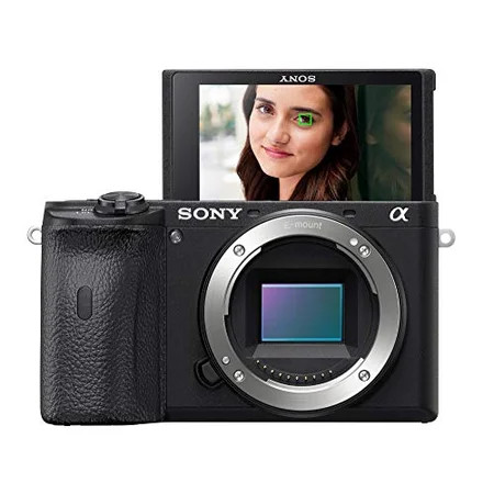 Sony Alpha A6600 Mirrorless Camera | Walmart (US)
