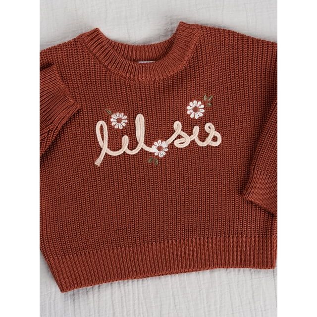 Modern Moments By Gerber Baby Girl Matching Sister Sweater, Sizes 0/3M-18M | Walmart (US)