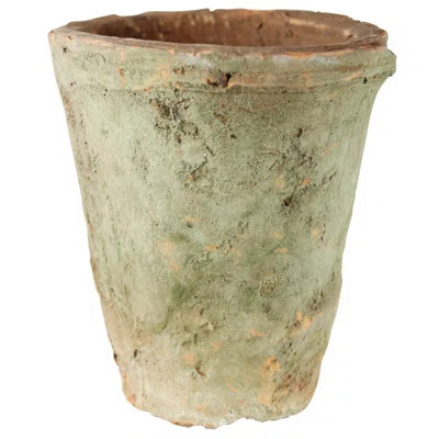 Riegel Terracotta Pot Planter | Wayfair North America