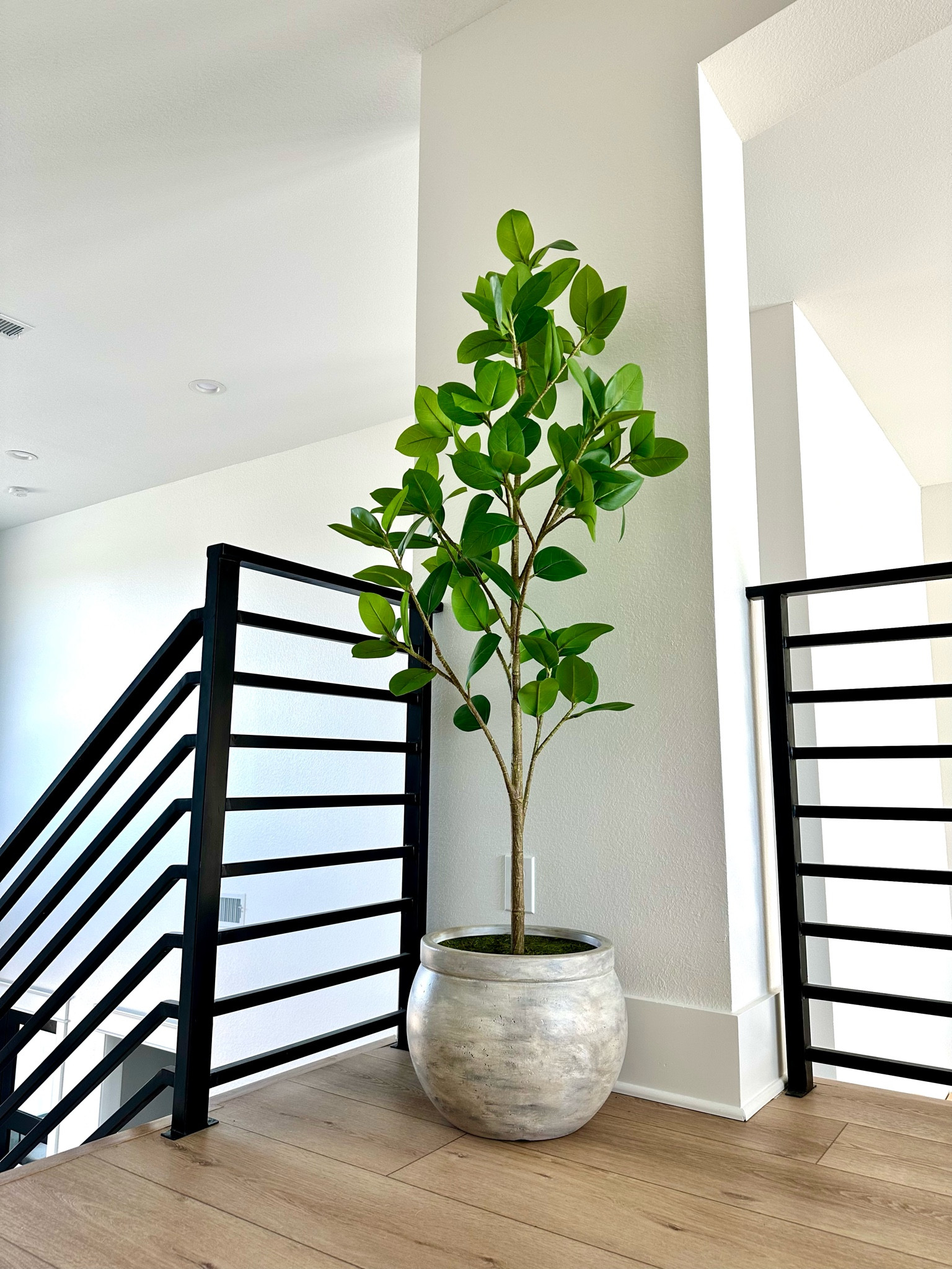 Linked the supplies to make this planter! Tree was a clearance find but I’ll link a few options you can use. 

#LTKunder50 #LTKFind #LTKhome