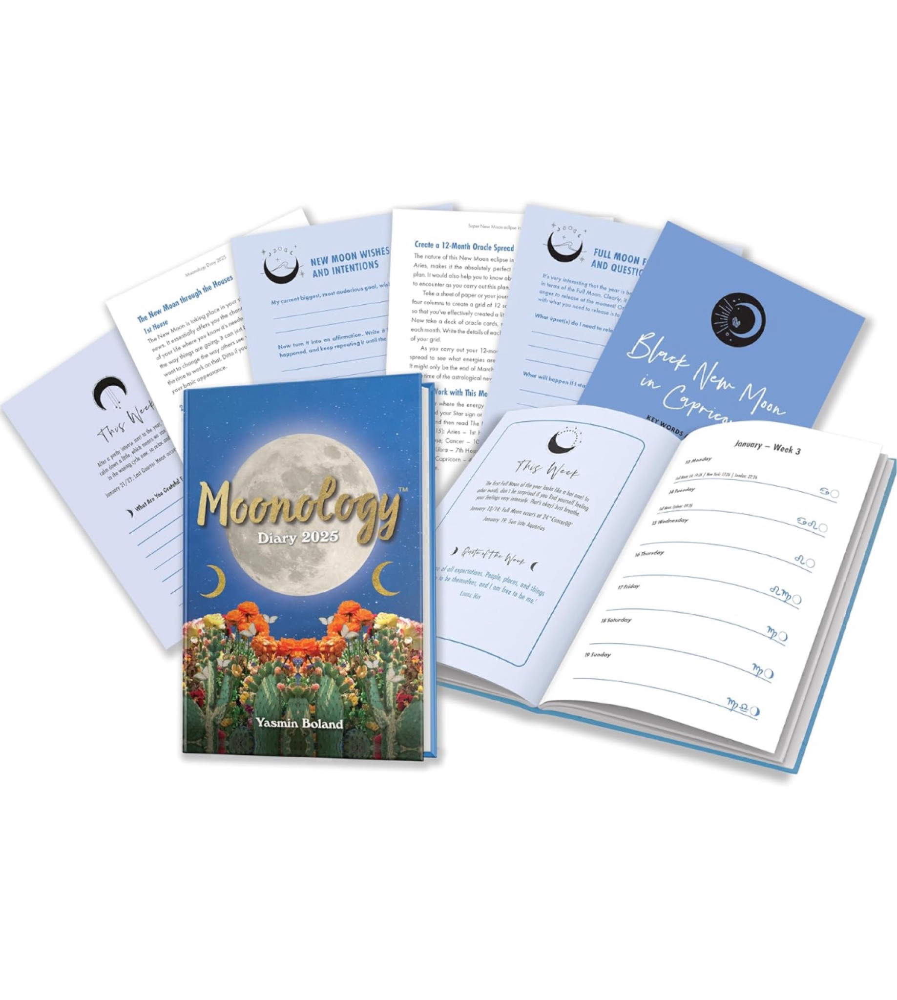 Moonology diary 2025
A must have for the year or a gift for your moon lovers. 

With with the moon energy all year to manifest.


#LTKSaleAlert #LTKGiftGuide #LTKHoliday
