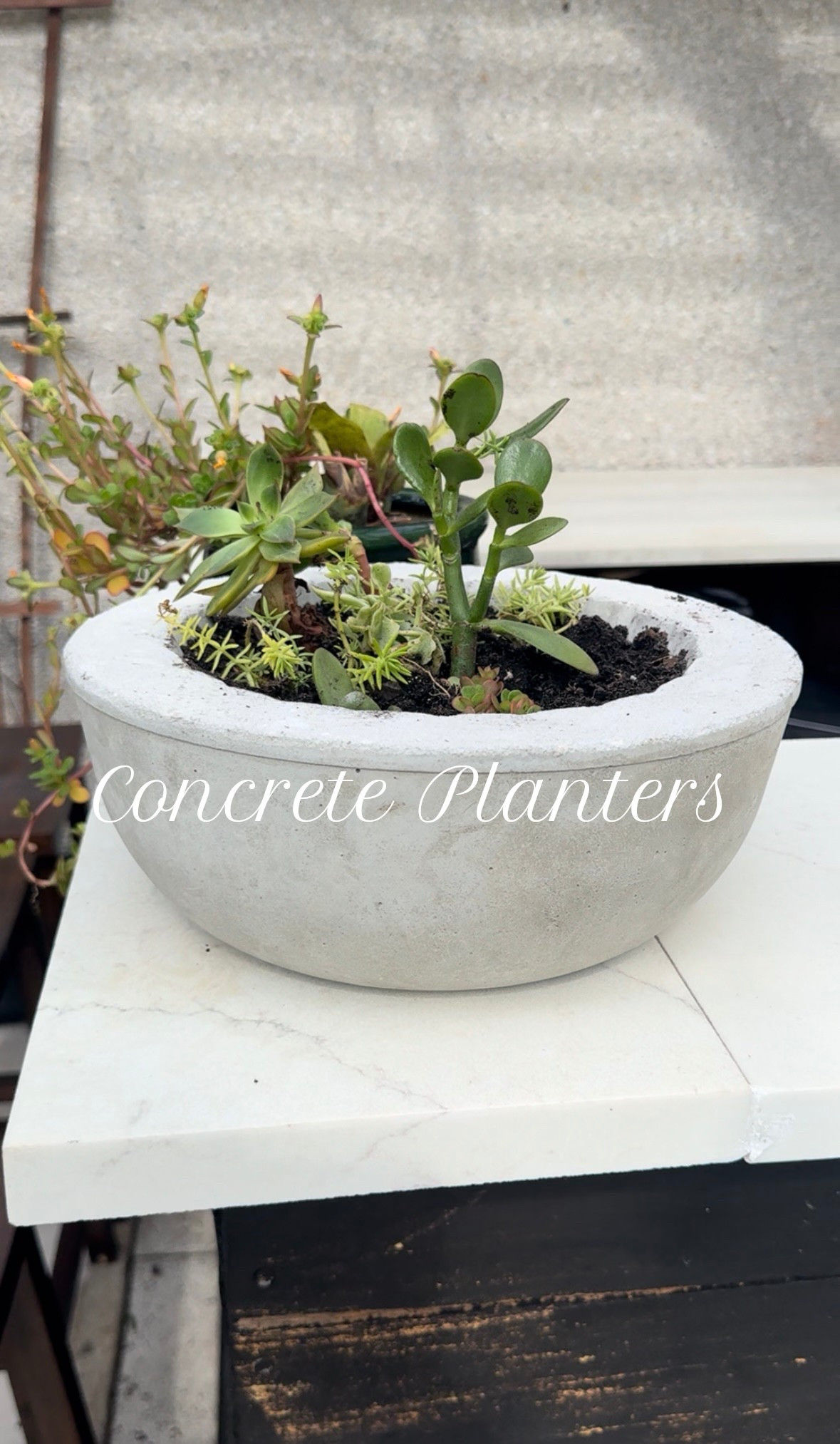 DIY concrete Planters! 🪴

Here are all the products I used to create these planters!

#LTKSeasonal #LTKFindsUnder50 #LTKHome