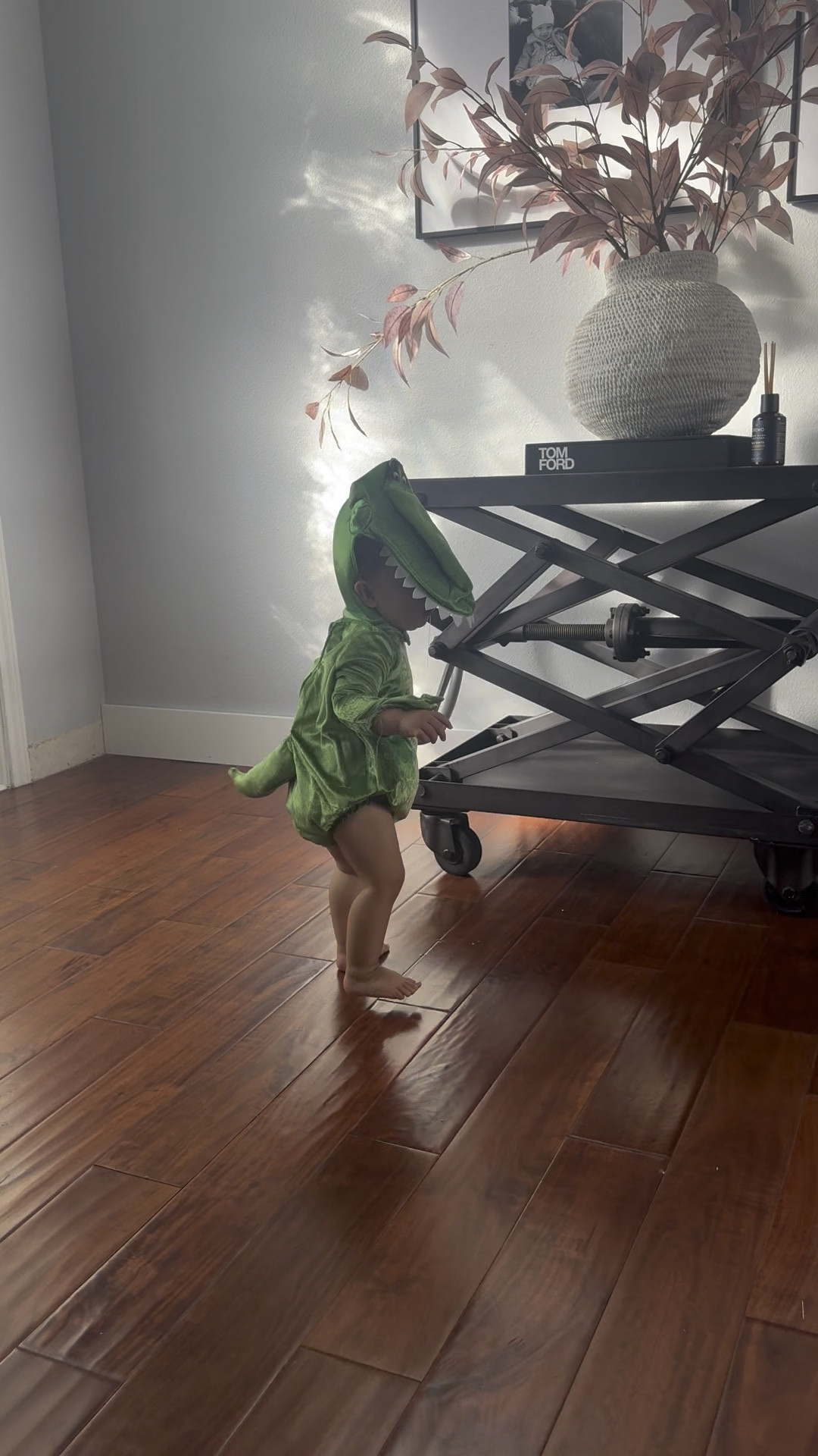 Toddler Halloween costume ideas 

#LTKVideo #LTKSeasonal #LTKKids