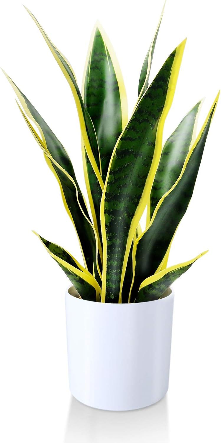Kazeila Artificial Snake Plant 16 Inch Small Fake Sansevieria Tree,Faux Desk Plant in Pot for Ind... | Amazon (US)