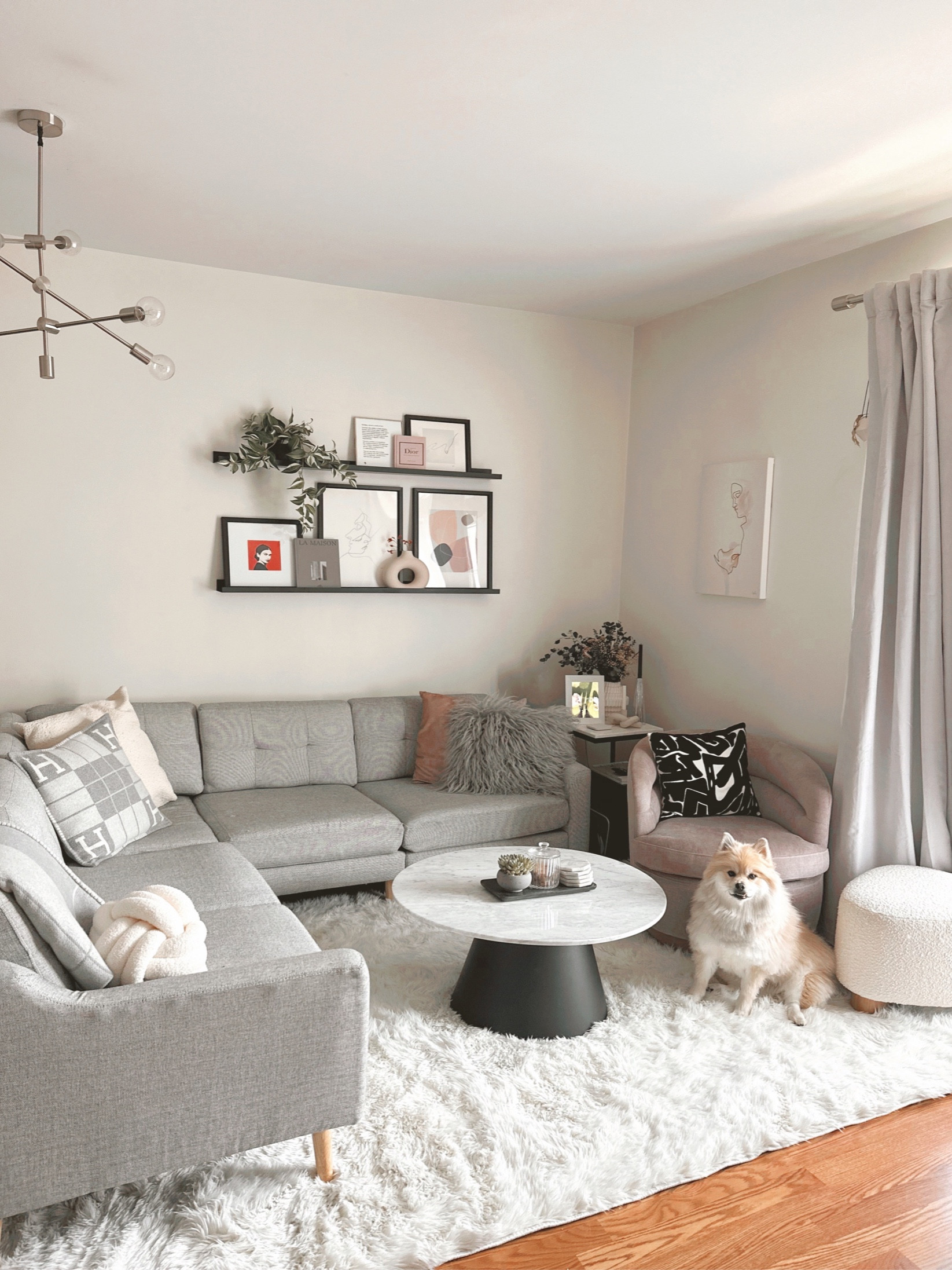 Dog not included 😂 but he is obsessed with our new rug! He enjoy soft fuzzy things so ruggable was the perfect solution to ensure I can wash if it ever gets dirty!

#LTKFind 

#LTKhome