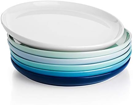 Sweese 154.003 Porcelain Round Dinner Plates - 10 Inch - Set of 6, Cool Assorted Colors | Amazon (US)