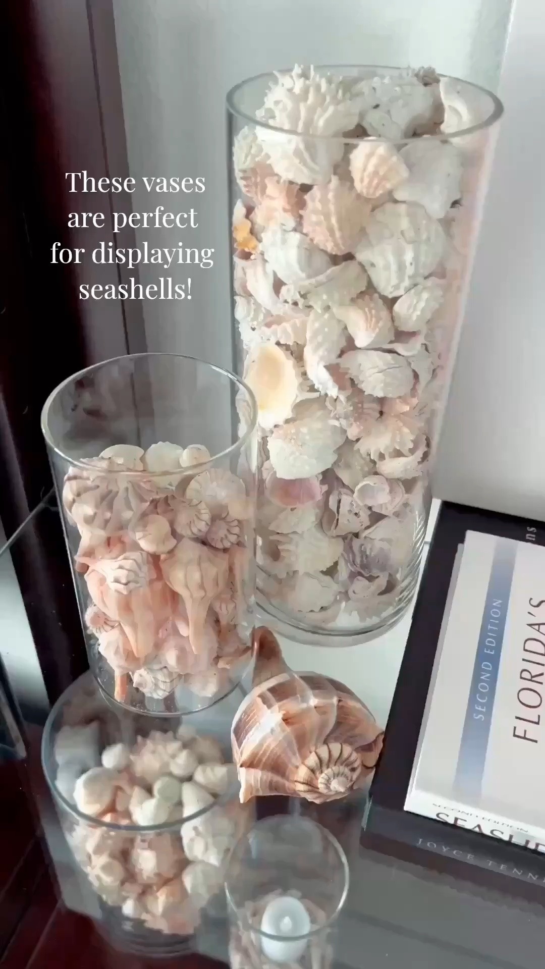 These vases are perfect for displaying the seashells I recently found at the beach.

#LTKSeasonal #LTKOver40 #LTKSaleAlert #LTKHome #LTKvlog