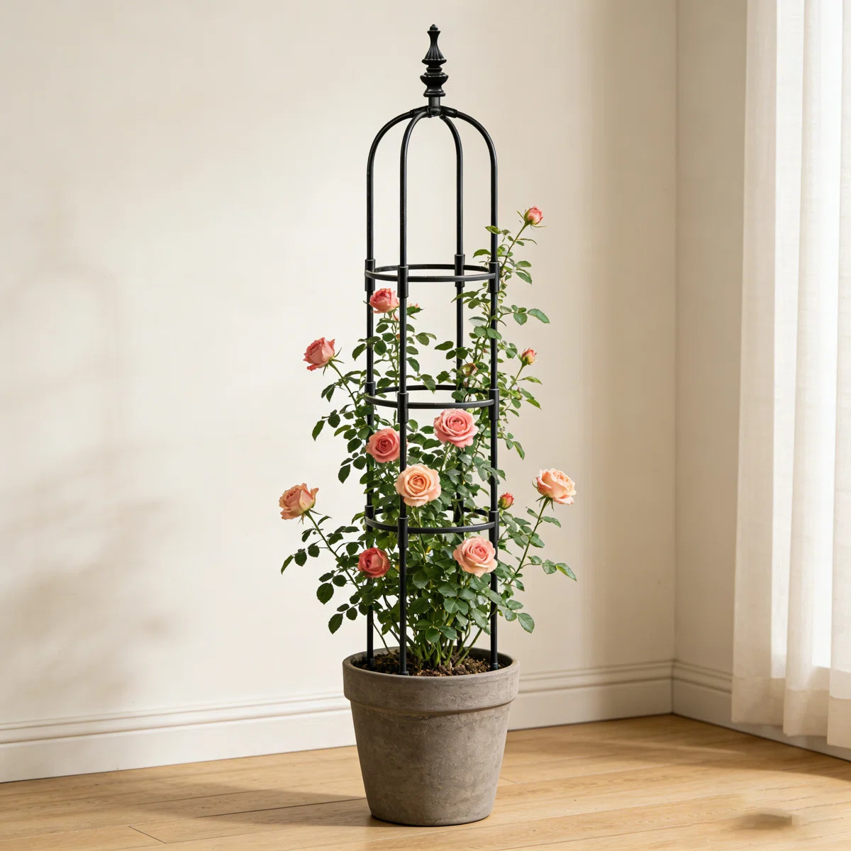 Black Garden Obelisk Trellis for Climbing Plants - Adjustable Metal Plant Support Tower, Rustproo... | Wayfair North America