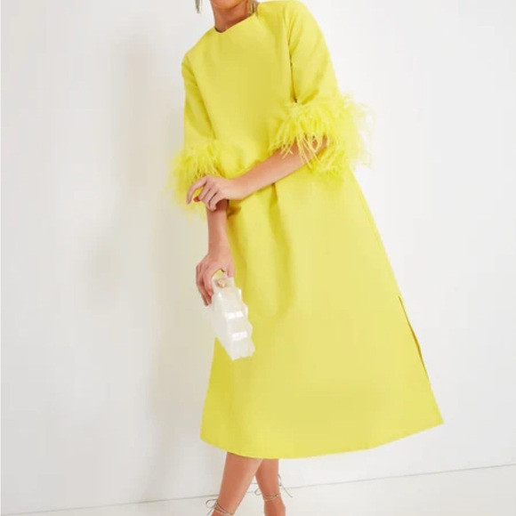 TUCKERNUCK

Citron Feather Jamie Dress | Poshmark