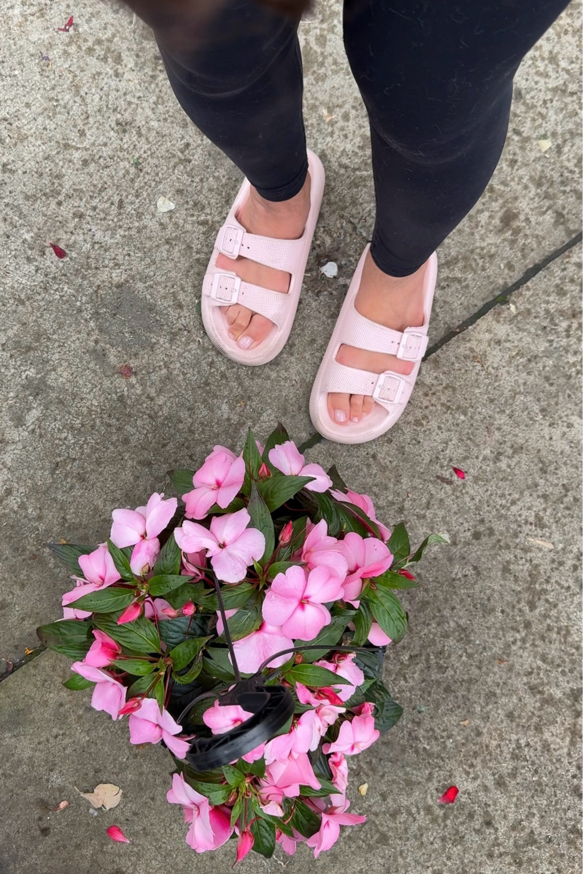 Comfiest pink slides from Amazon 
Pink slides
Amazon summer fashion finds 


#LTKtravel #LTKsummer #LTKstyletip