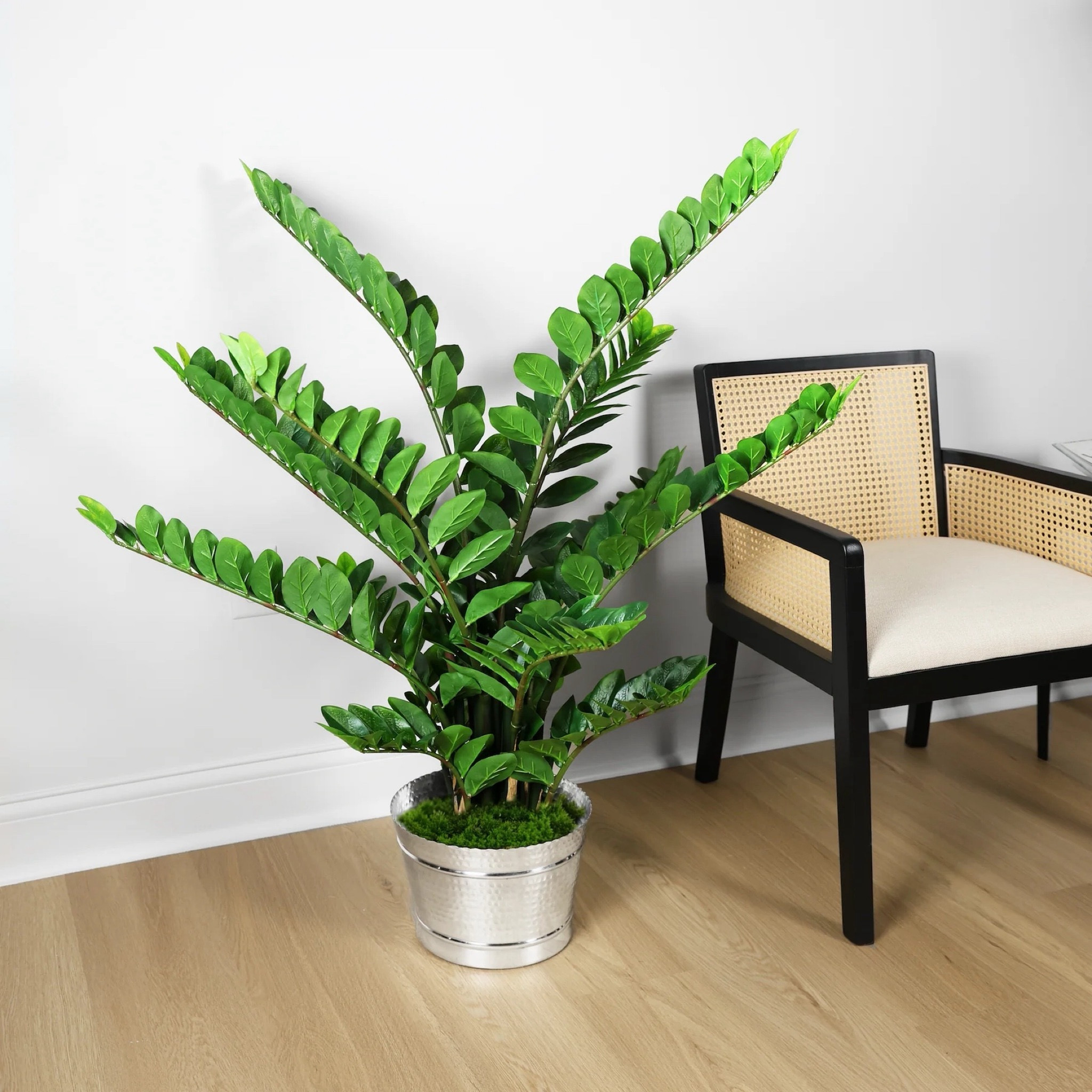 Home decor, faux plant, planter, silver decor, modern home


#LTKSeasonal #LTKStyleTip #LTKHome