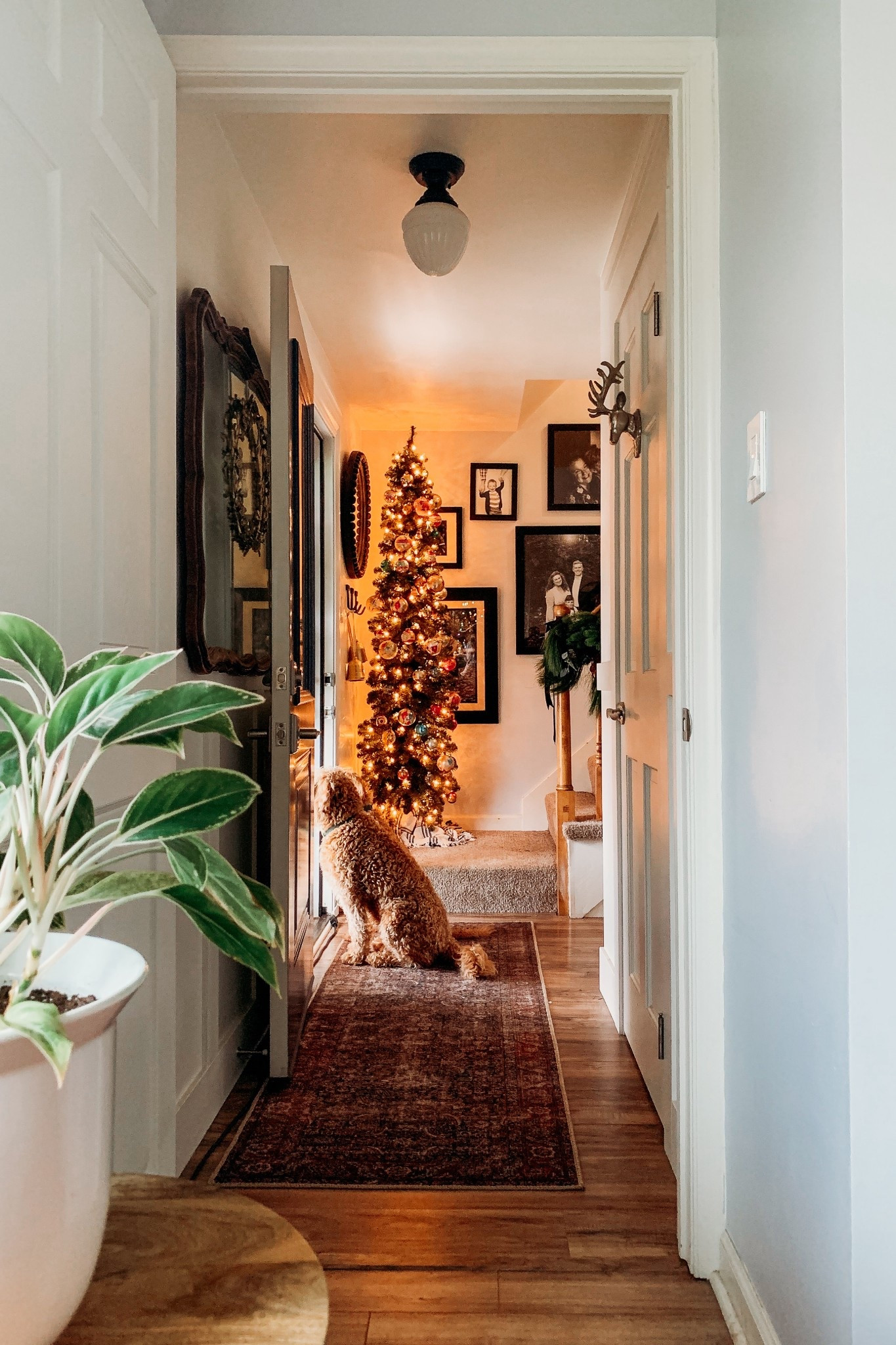 My favorite pre-lit pencil tree is on major sale – 70% off right now! Every year I share this tree and you sell it out!

#LTKFindsUnder50 #LTKSaleAlert #LTKHoliday