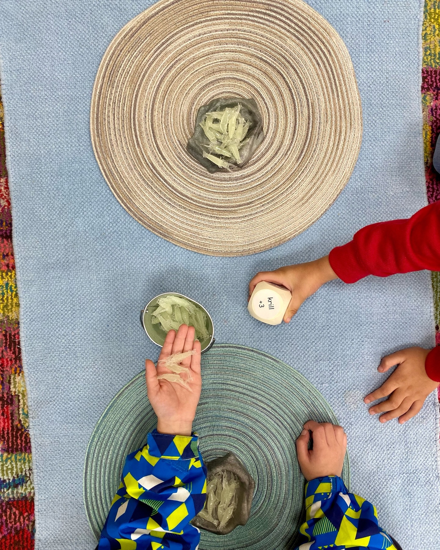 🐧 NO Antarctica unit in the Montessori preschool classroom is complete without them!

Krill play a vital role in the Antarctic ecosystem, serving as the primary food source for animals like penguins, whales, and seals. Incorporating krill into our Montessori activities helps children connect with the natural world while engaging in hands-on learning.

In the Montessori preschool classroom, continent studies often reside on our Culture/Science/Geography shelves, but they are not limited to this subject matter, and hands-on learning should always be cross curricular!  These Antarctica-inspired activities are part of our math shelves, combining hands-on learning with foundational math skills.

Throughout the years, my students have loved playing Krill Fill, a math game created by my Montessori mentor. Here’s how it works: Students roll wooden dice to determine whether they’ll add or subtract krill from the center. With every turn, they’re practicing early math skills like counting, addition, and subtraction—all while learning cooperation. There’s no competition in the Montessori preschool classroom—both players win when the krill are gone!

Another math shelf hit is our Krill Numbers and Counters, where children quantify numbers 1-10 using tiny krill, strengthening their number sense and fine motor skills.

What’s your favorite way to integrate continent studies across the curriculum? Let’s share ideas in the comments!

#montessoriactivities #montessorimom #montessoriteacher #preschoolteacher #montessoriathome

#LTKKids #LTKFamily