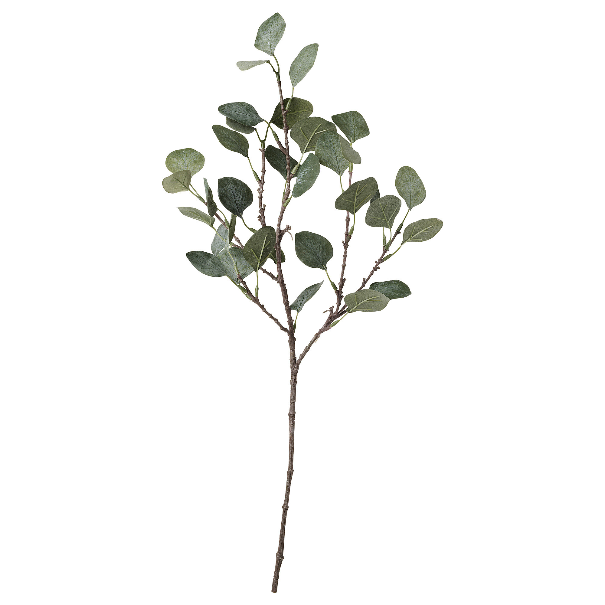 SMYCKA Artificial leaf, eucalyptus/green, 25 ½ " | IKEA US