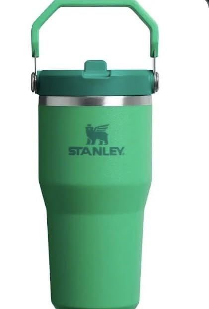 Flip Straw Tumbler | 20 OZ - Stanley | Amazon (US)