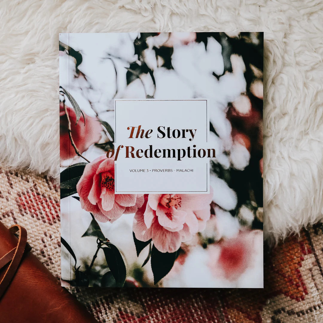 The Story of Redemption | Vol. 3 | The Daily Grace Co.