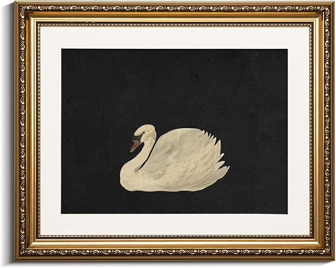 VIYYIEA Gold Framed Wall Art Canvas Print Home Decor Wall Decorations Grace Swan Art Painting Pic... | Amazon (US)