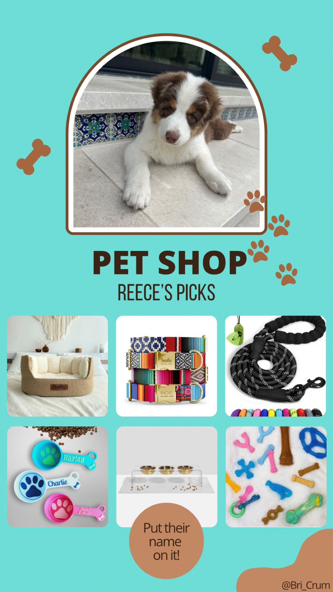 We got a new puppy and are loving our latest finds!
	•	Personalized Jute Basket Dog Bed – Handmade with natural jute, a soft Teddy fabric pillow, and removable padded sides. Customizable with your pet’s name on a leather tag!
	•	Eco-Friendly Personalized Dog Collar – Made from recycled water bottles with premium metal buckles in gold, rose gold, or silver.
	•	Custom Dog Food Scoop – Bone-shaped handle, precise cup measurements, and biodegradable PLA plastic. Perfect for multiple pets or dog sitters!
	•	6ft Reflective Rope Leash – Features a padded handle, poop bag holder, and included bags.
	•	Puppy X Bone Chew Toy – Soft for teething, easy to grip, and infused with a savory beef flavor to support dental health.
	•	Triple Dog Bowl Feeder with Gold Bowls – Chic 7” raised acrylic stand with lead-free, gold-finish stainless steel bowls in two size options.

Shop Reece’s Picks here!

#LTKPets #LTKHome #LTKFamily