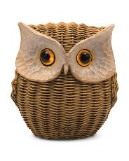 8.25in Led Resin Owl With Rattan Look | TJ Maxx