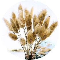 Color Life 110-120 Pcs Dried Natural Flowers Decoration |The Rabbit Tail Grass,Pampas Grass, Drie... | Amazon (US)