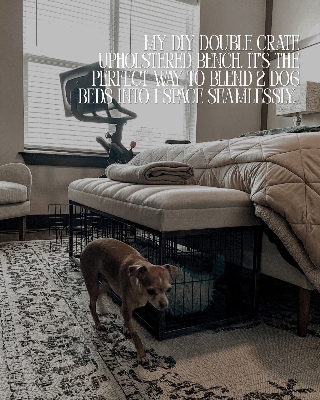 Apartment Therapy: Steal my Upholstered Bench Dog Bed for Two.

DIY your own double dog bed bench to seamlessly & stylishly blend into your decor. 

Scroll to shop. 

#LTKPet

#LTKHome #LTKBeauty