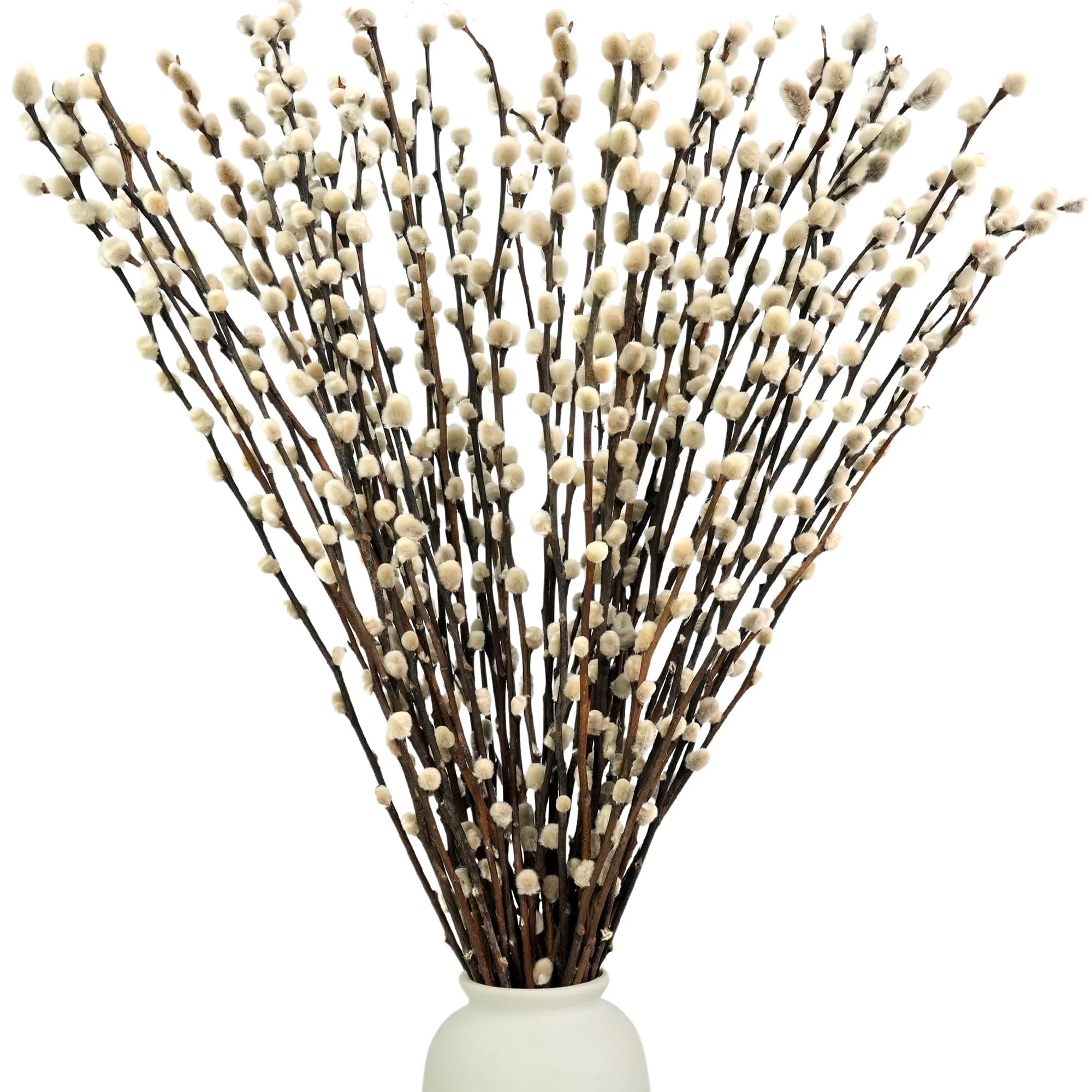 40Pcs Charming Pussy Willow Branches for Vases - 15.7inch Natural Dried Pussy Willows for Vase De... | Walmart (US)