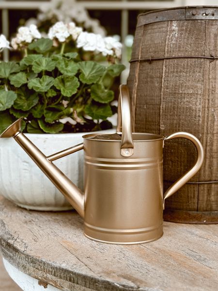 This one-gallon galvanized steel watering can is a great Mother’s Day gift for those plant moms! It’s great quality! Amazon also offers quick two-day shipping on this item. 

#LTKSeasonal #LTKFindsUnder50 #LTKGiftGuide