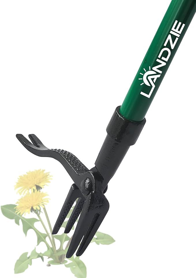 Landzie Weeder - 44 Inch Long Steel Stand Up Manual Weed Remover Tool for Lawn and Garden - Easil... | Amazon (US)