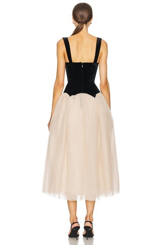 Estella Midi Dress in Black & Tan | Revolve Clothing (Global)