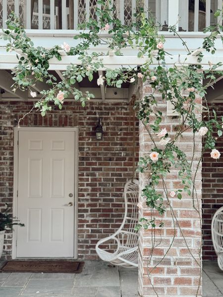 How we saved and creating our own pergola/arbor for our roses in the garden! Comment PERGOLA and I’ll send you all items used here ✨. We winged this as we went and have received so many questions for a tutorial. This is highly dependent on your home so adjust accordingly!

1- Attached PVC corbels to the brick using brick screws.
2- Insert 2x2 lumber into hollow 4x4 fence posts (for extra support) then attach them to the corbels. We put one line closer to the house and one at the end of the corbel.
3- Attach 1x2 vinyl slats in the opposite direction, approximately 20” apart.

Again, this is not a sophisticated DIY but I say just go for it! Create the pergola of your dreams for your climbing plants 🌱.



#LTKHome #LTKSeasonal