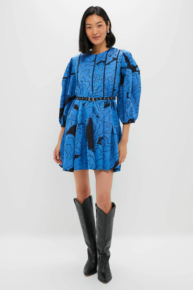 Steel Blue Rose Printed Eden Dress | Tuckernuck (US)