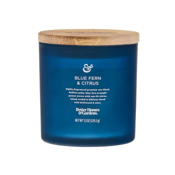 Better Homes & Gardens 12oz Blue Fern & Citrus Scented 2-Wick Frosted Jar Candle - Walmart.com | Walmart (US)
