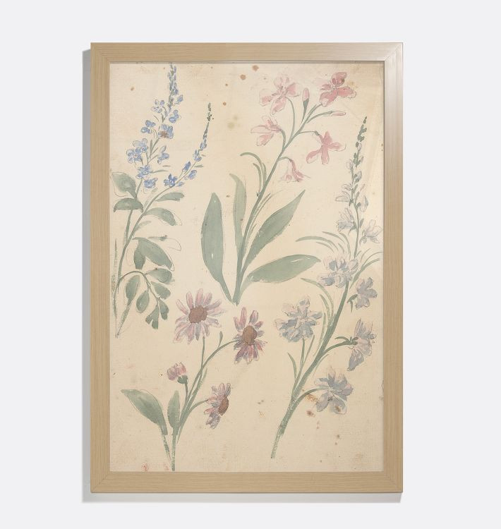 Four Studies of Pink and Blue Flowers Framed Reproduction Wall Art Print | Rejuvenation