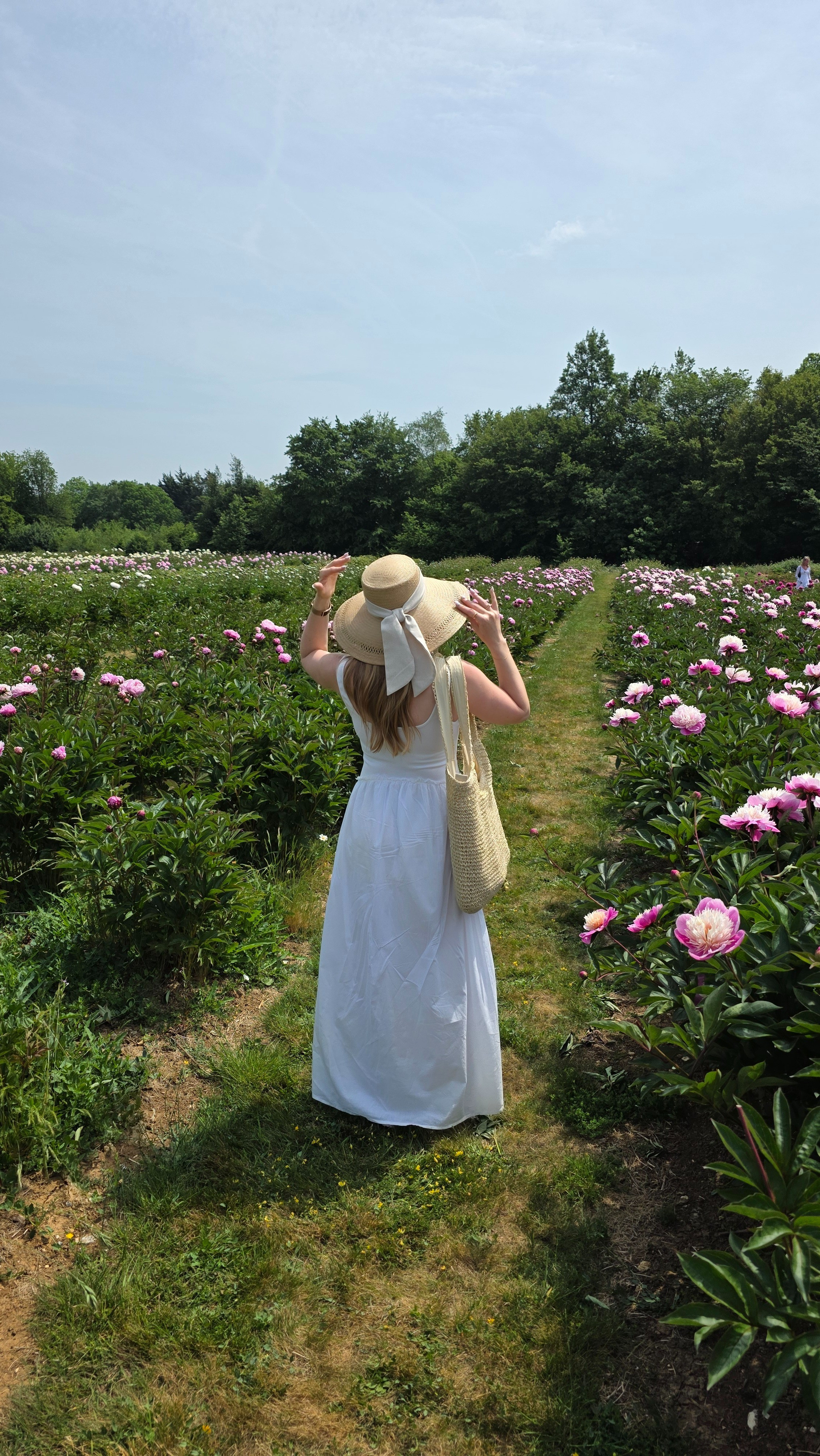 A morning amongst peonies 🌸🌿

