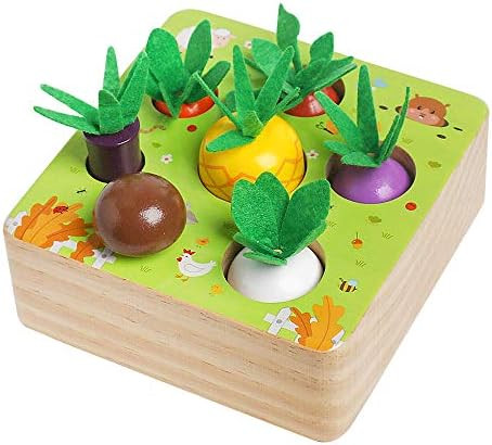 Montessori Wooden Toys for 1 2 3 Years Old Boys Girls, Vegetable Fruit Harvest Shape Size Sorting... | Amazon (US)