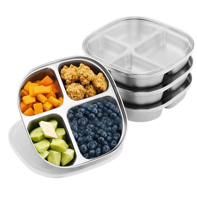 Stainless Steel Kids Plates,Set of 4 Toddler Plates with Lids - 4 Compartments Stainless Steel Sn... | Amazon (US)