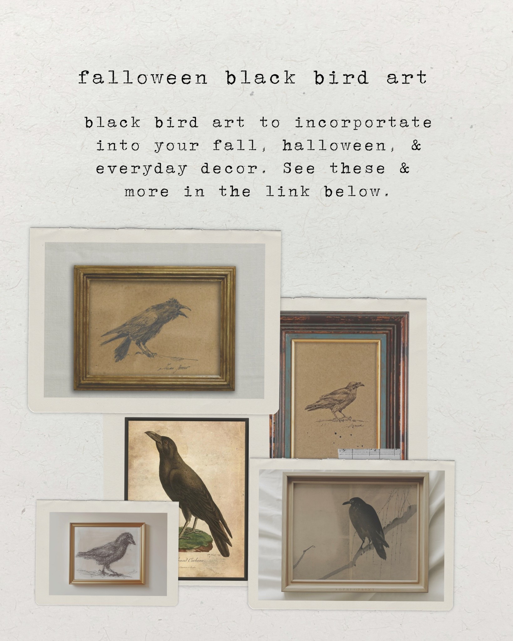 Cozy cottage falloween decor: black
Bird art 🐦‍⬛ 