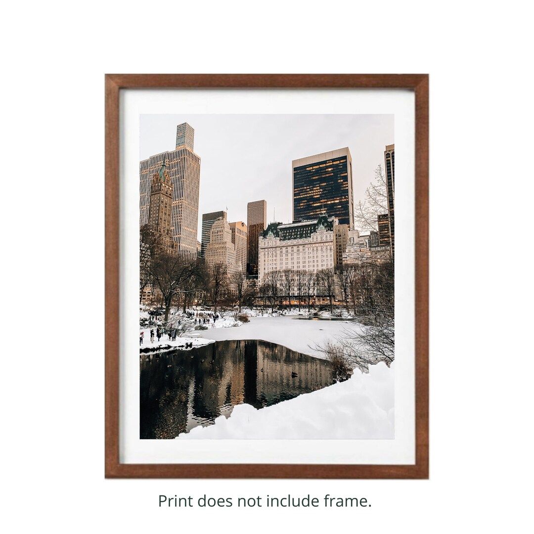 Central Park South in the Snow Photography Print Winter in - Etsy | Etsy (US)