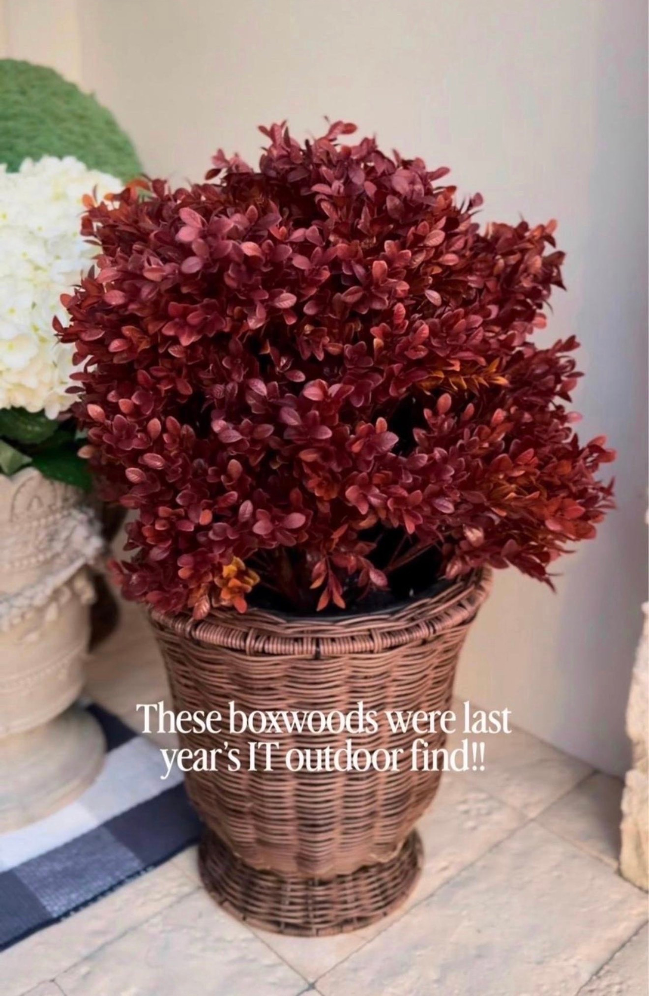 These boxwoods were last year’s IT 
outdoor find!

Follow me @miriamobrien  on IG and TikTok 

#Amazon #Boxwoods #Fall #MustHave #HomeDecor #Faux

#LTKSeasonal #LTKOver40 #LTKHome

#LTKSeasonal #LTKOver40 #LTKHome

#LTKSeasonal #LTKOver40 #LTKHome

#LTKOver40 #LTKSeasonal #LTKHome

#LTKHome #LTKOver40 #LTKSeasonal