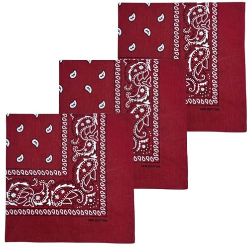 MDSTYLE 100% Cotton Bandana for Men & Women 22" x 22" Paisley Pattern Handkerchief Headband Scarf (Burgundy - 3 Pack) | Amazon (US)