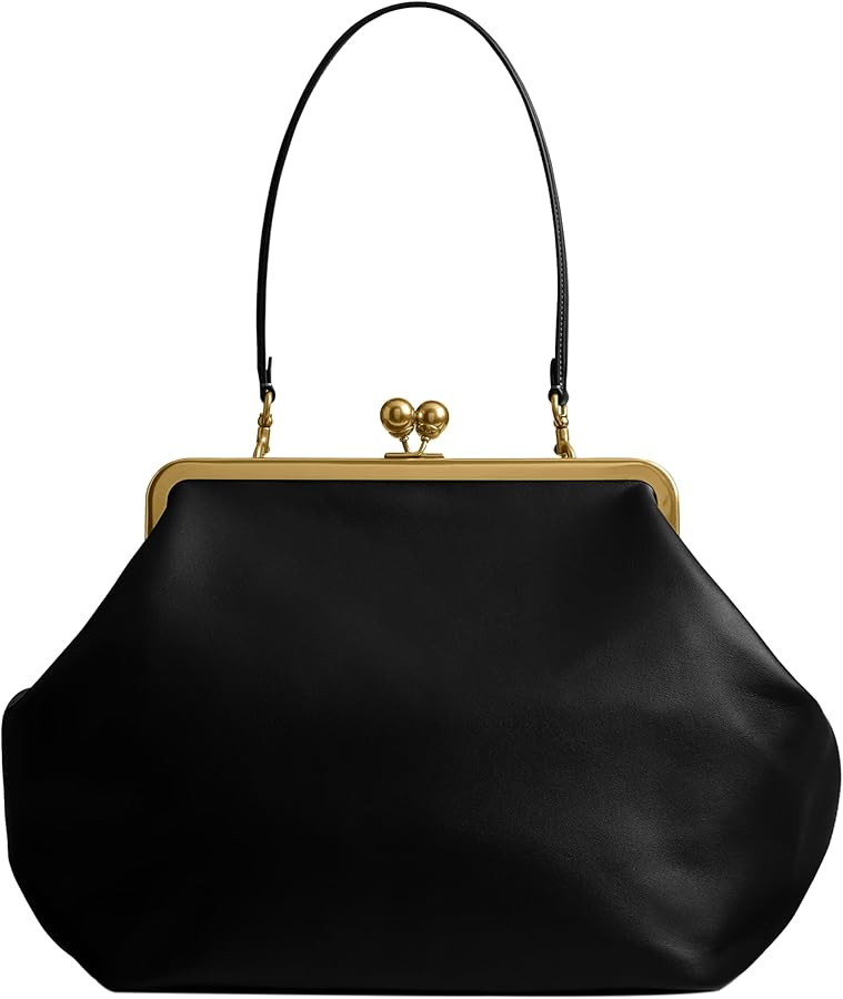 Coach Large Kisslock Frame Bag | Amazon (US)