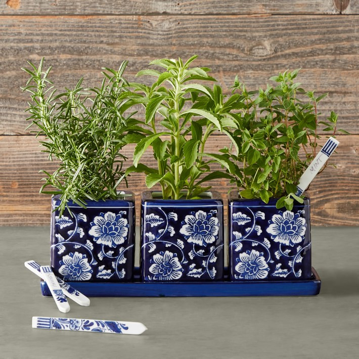 Blue & White Herb Starter Set | Williams-Sonoma