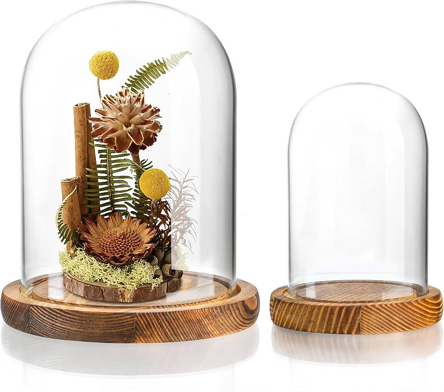 2 Pack Glass Cloche Domes with Wooden Bases, Glass Display Bell Jars | Amazon (US)