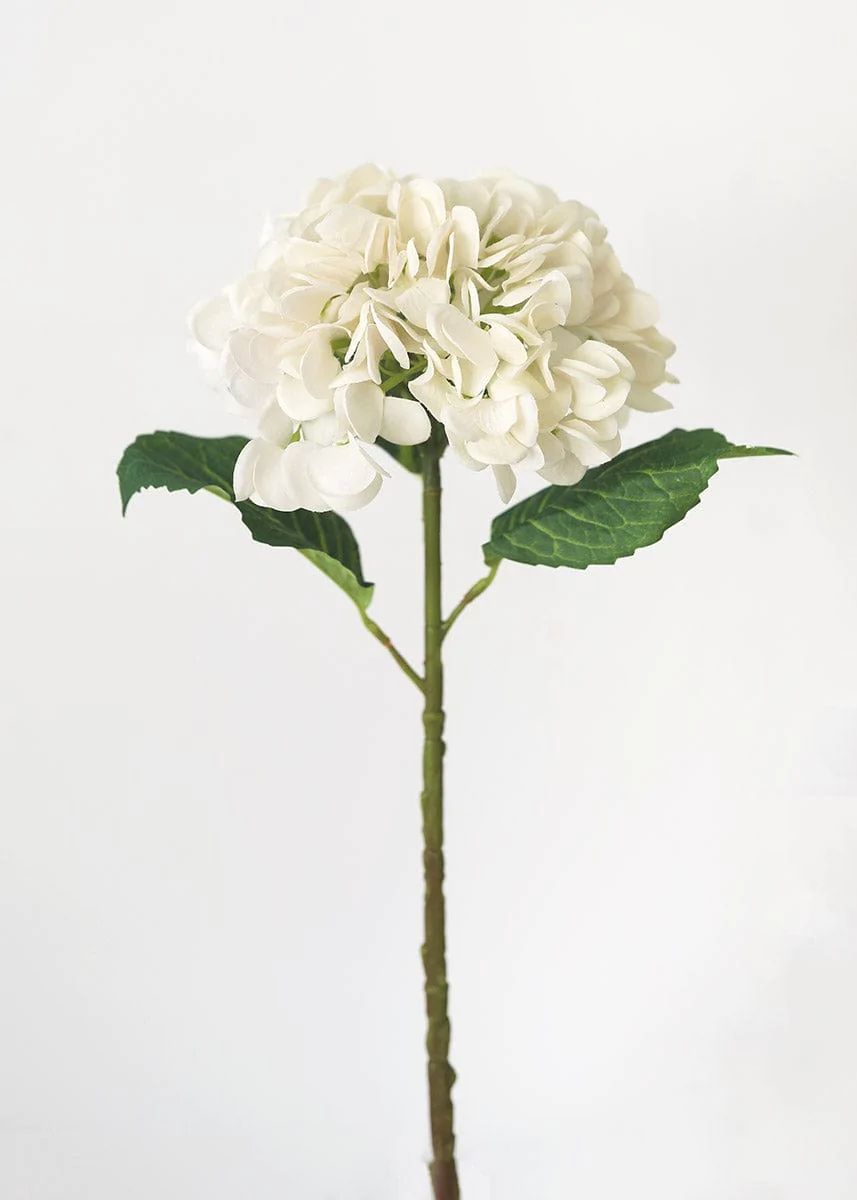 Cream Artificial Real Touch Hydrangea - 20 | Afloral