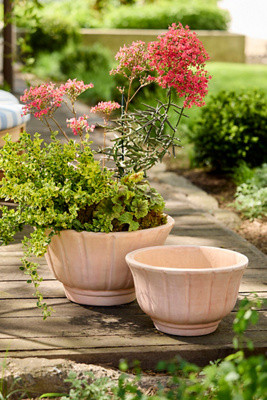 Petal Terracotta Planter | Terrain