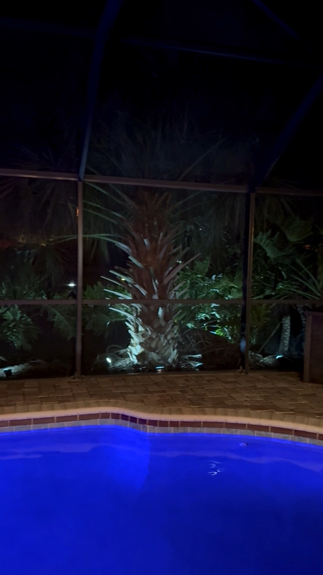 Added up-lighting to what we refer to as “the jungle” behind the pool. I’m very pleased with how it came out and it only cost under $110! We have 16 total lights (2 6-packs and 1 4-pack). Currently on clearance!

#LTKHome #LTKSaleAlert #LTKSpringSale