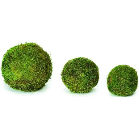 Decorative Dried Green Moss Balls - 2 6 8 inch diameter -- Case of 2 12 inch balls | Walmart (US)