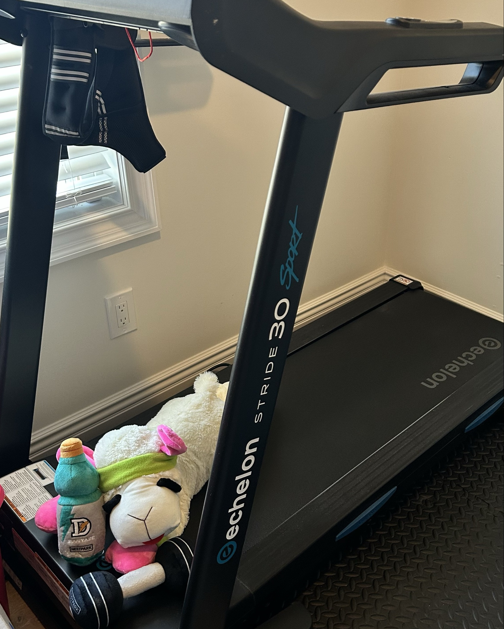 My workout partner is highly qualified but refuses to do cardio.
He just supervises and files complaints. 🐶💼
Linking Zuma’s favorites + our treadmill setup on LTK.

#LTKfitnessgoals #LTKmorningroutine #LTKOver40